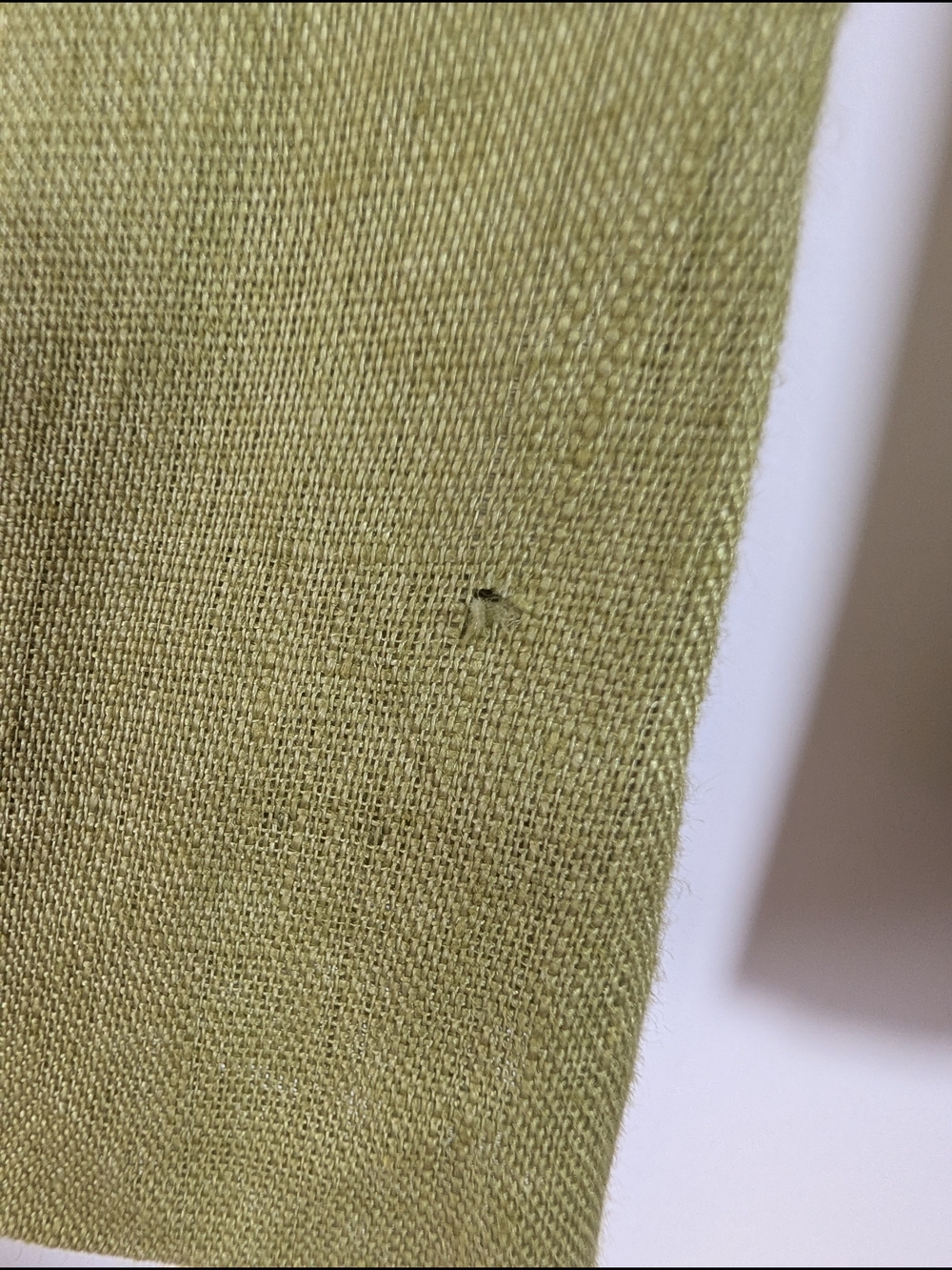 ZARA NWT 100% Linen Pajama Pants S Olive Green Wide Leg High Rise Elastic Waist - Picture 6 of 6